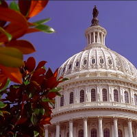 Strategic Government Internal Communications
