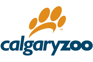 Calgary Zoo Social Video Mobile Internal Communications Seattle 