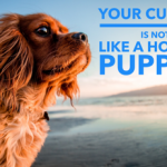 company culture