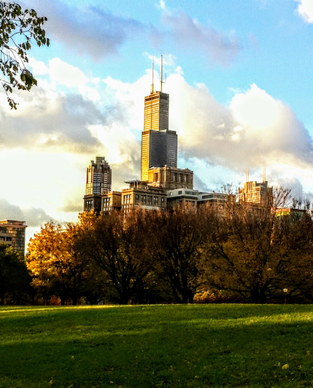 Willis Tower in Fall